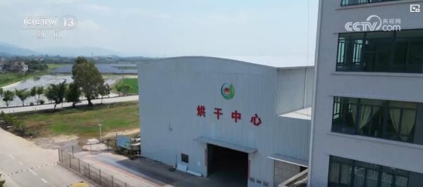 恒运资本 早稻收获“加速跑”：单产提升行动显成效&#32;丰收基础稳