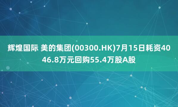 辉煌国际 美的集团(00300.HK)7月15日耗资4046.8万元回购55.4万股A股