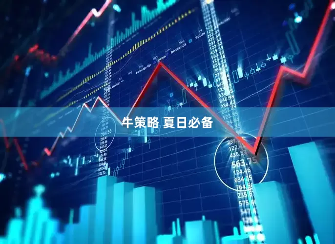 牛策略 夏日必备